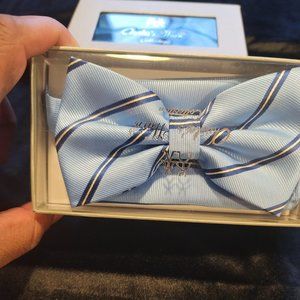 Mens Power blue striped bow tie